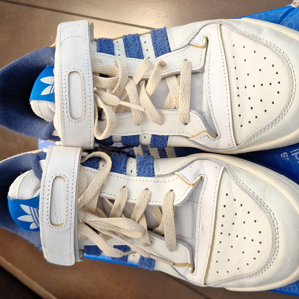 Forum 84 low blue thread